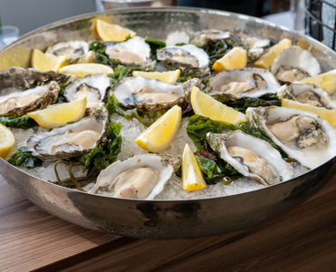 Oysters served in the Garden Club lounge