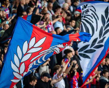 Crystal palace supporters