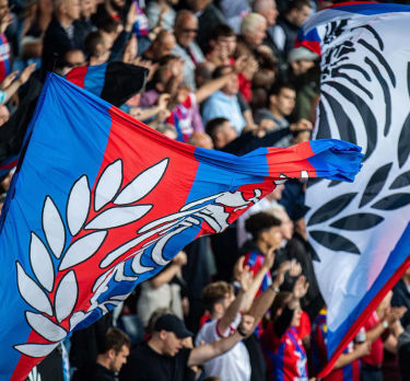 Crystal Palace fans