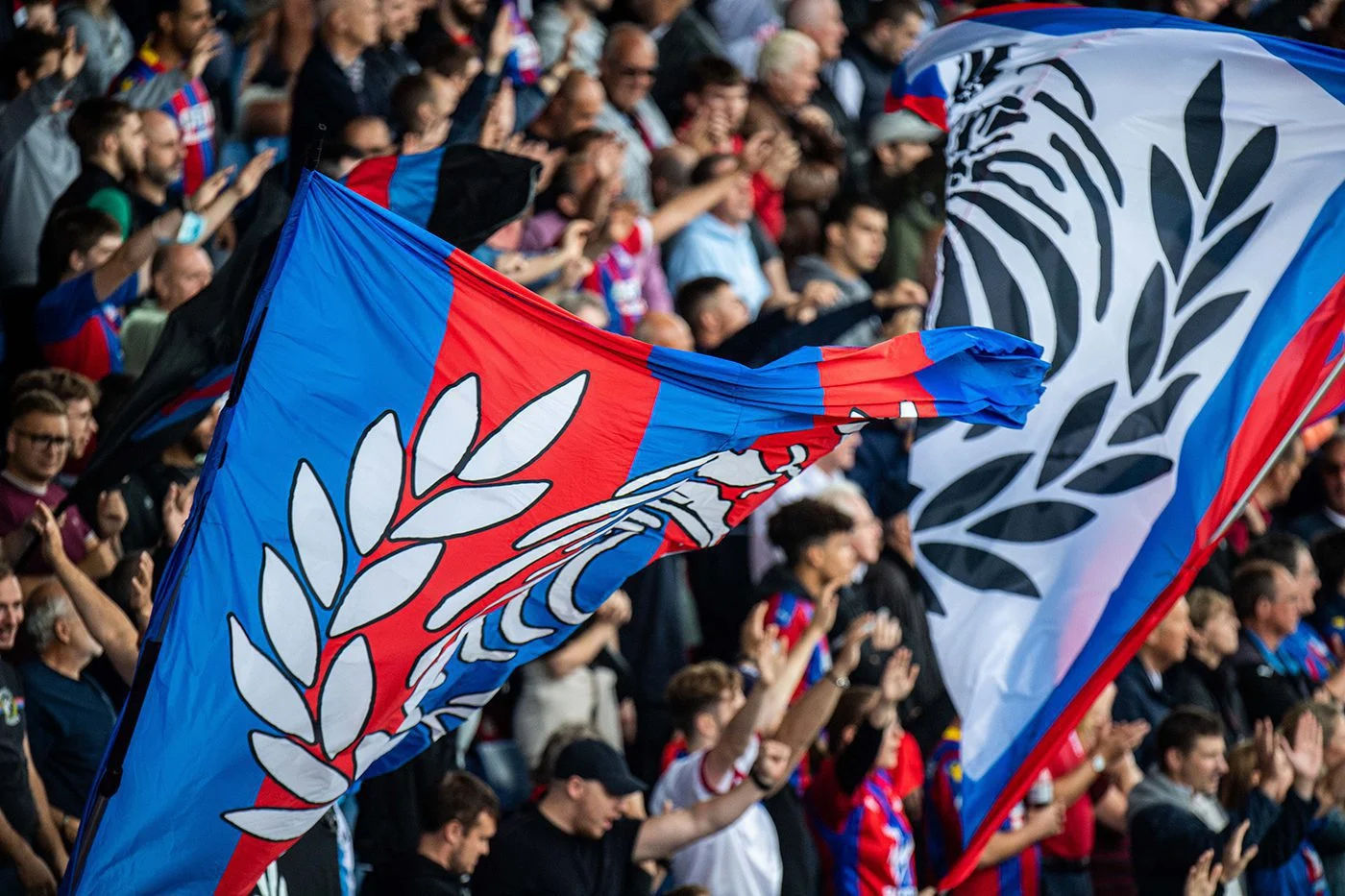 Crystal Palace fans