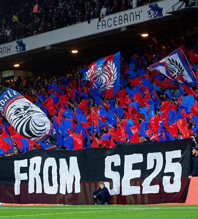 Crystal palace fans