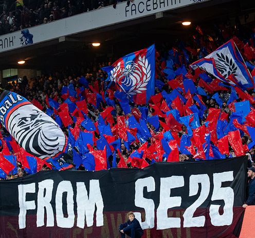 Crystal palace fans