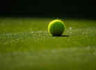 Wimbledon Tickets
