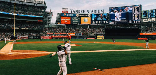 new york yankees