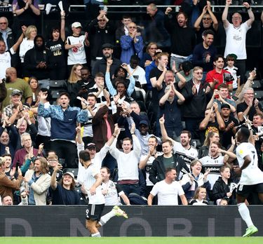Fulham team