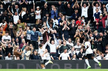 Fulham Supporter