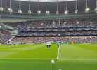 Tottenham Hotspur stadium